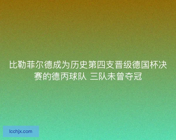 比勒菲尔德成为历史第四支晋级德国杯决赛的德丙球队 三队未曾夺冠